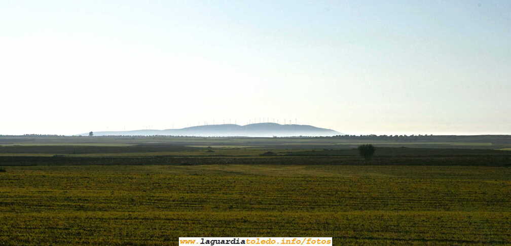 Molinos de Viento de El Romreal vistos desde el camino viejo de Las Navas (25 de Diciembre de 2006)