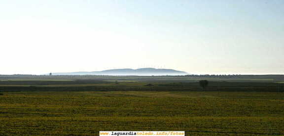 Molinos de Viento de El Romreal vistos desde el camino viejo de Las Navas (25 de Diciembre de 2006)