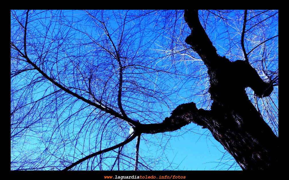 31 de diciembre de 2007. Invierno el la glorieta.