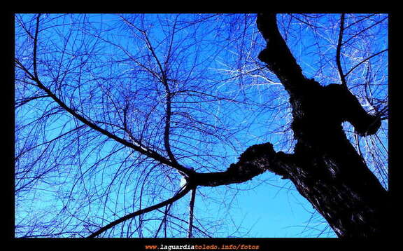 31 de diciembre de 2007. Invierno el la glorieta.