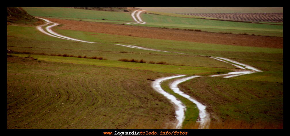 Asimetrías - 1 de febrero de 2009