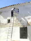 Dando cal