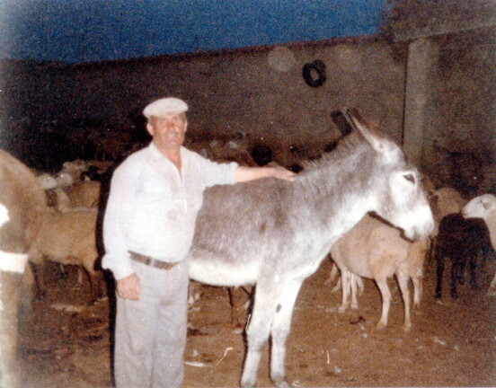 Modesto con el Ganado