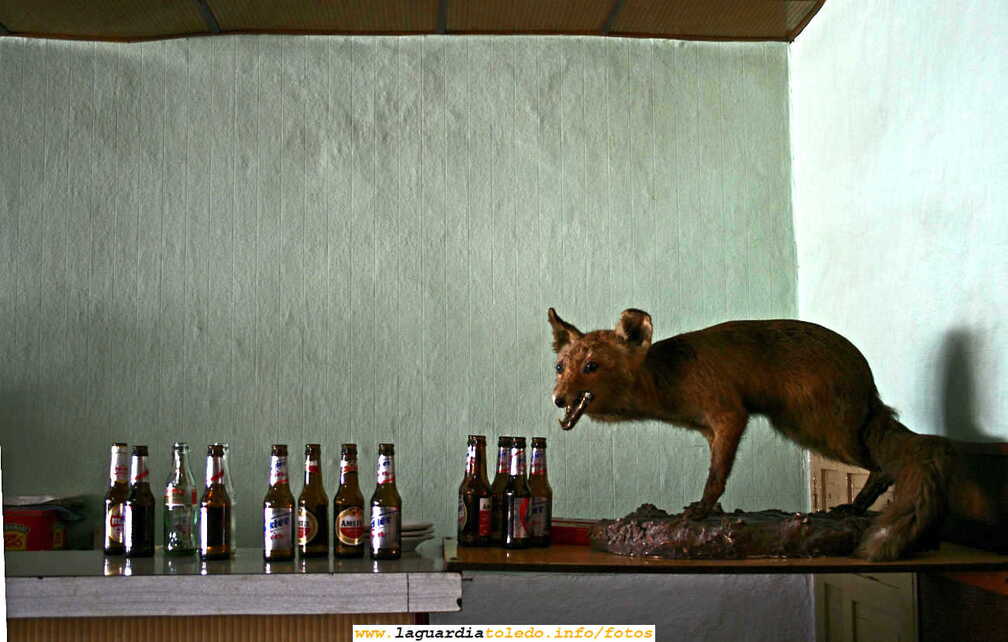 La Zorra (6 de enero de 2007)