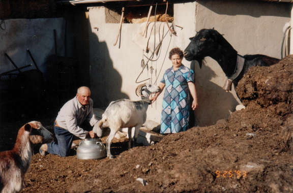 Modesto y Germana 1993
