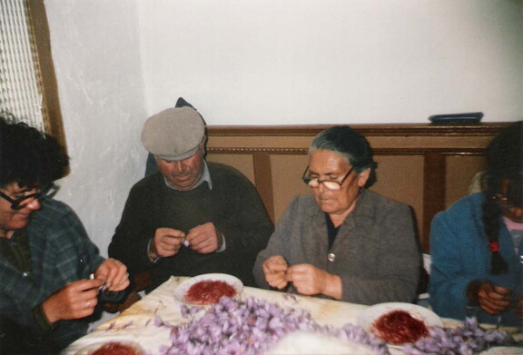 Pelando rosa