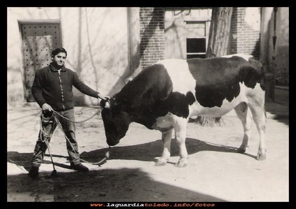 El toro