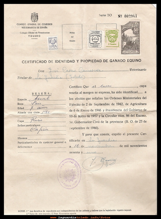 guia de los borricos