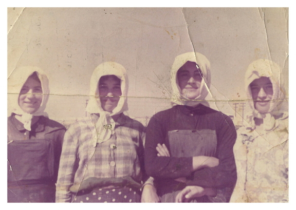 vendimiadoras años 60.