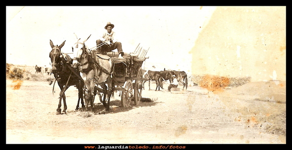 la trilla