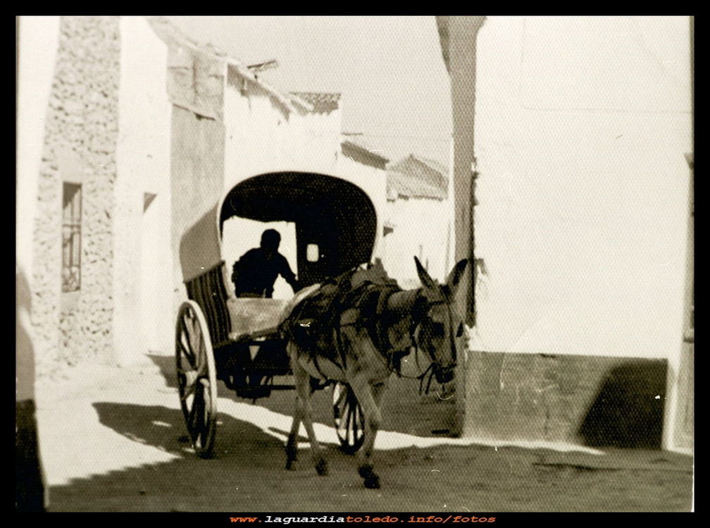 El carrito de varas