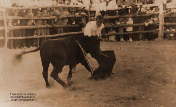 Toros en La Guardia 28 septiembre 1946. Ramón Alonso toreando