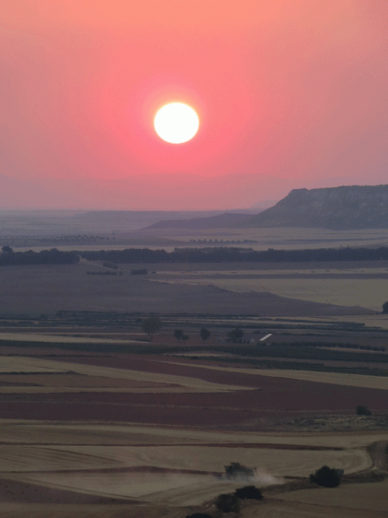 La siega en la Vega a la puesta del sol