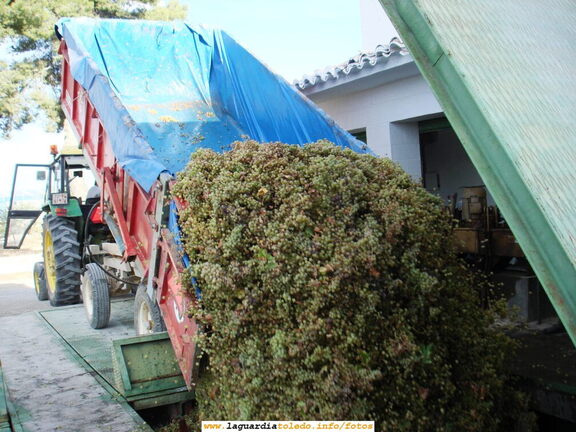 1 de Octubre de 2006. Descargando la uva. Cooperativa del Santo Niño