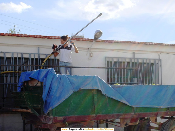 1 de Octubre de 2006. Tomando muestras de uva para sacar el grado. Cooperativa de San Juan Bautista