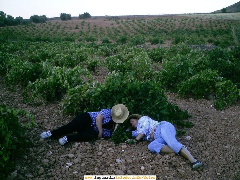 La siesta después del guiso en la vendimia