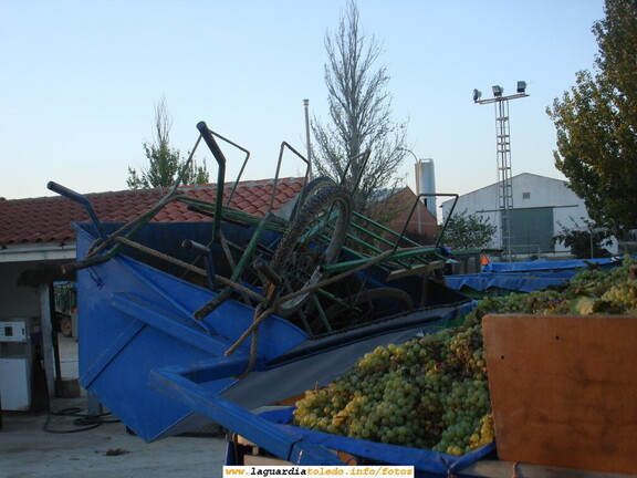 6 de Octubre de 2007. Utensilios de vendimia en la Cooperativa del Santo Niño