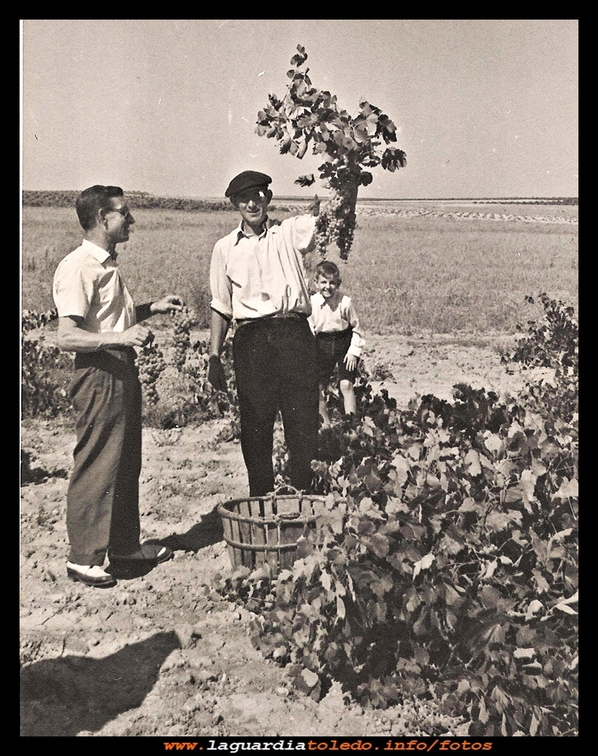 Las uvas