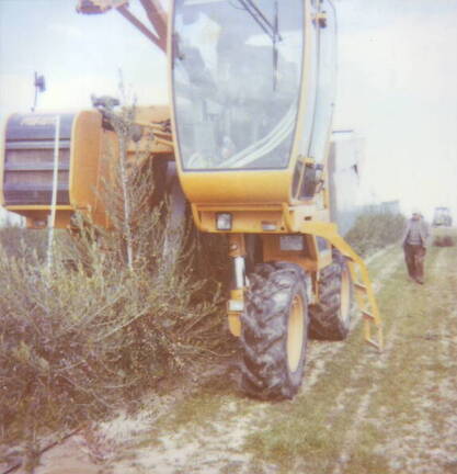 Maquina para labores agrícolas