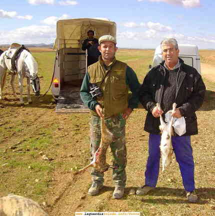 los trofeos de camino casar