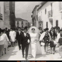 El curso de la vida