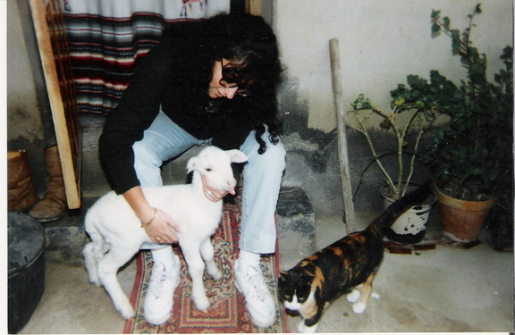 Animales