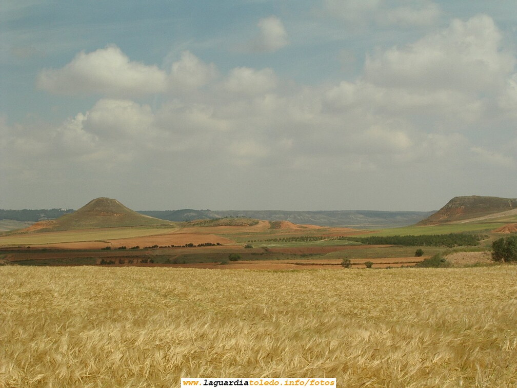 El cerro de la Atalaya. Verano de 2007