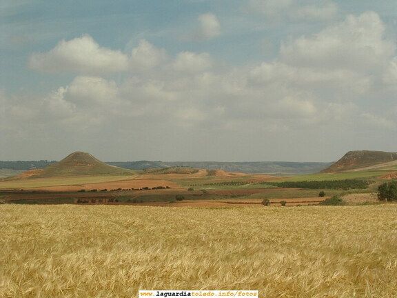 El cerro de la Atalaya. Verano de 2007