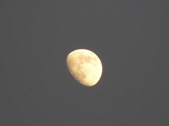 Taller de la Asociación "Sol y Luna"