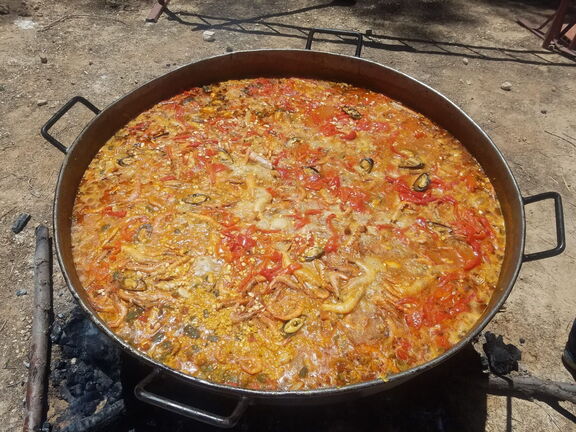 Romería 18 de mayo de 2024