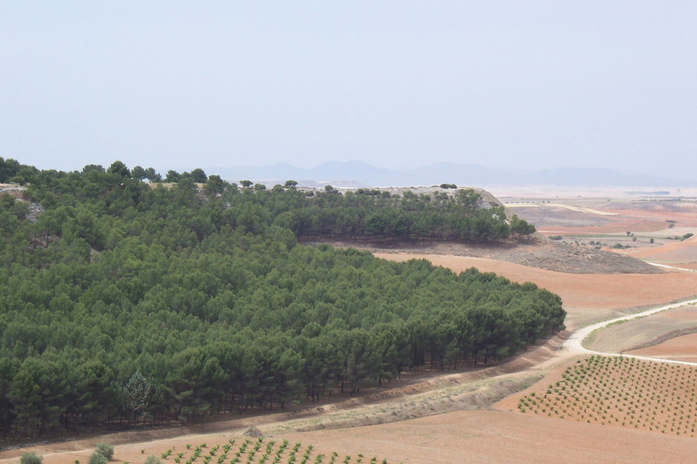 la carretera V