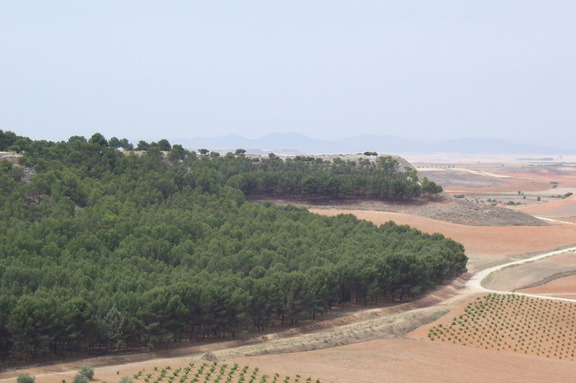 la carretera V