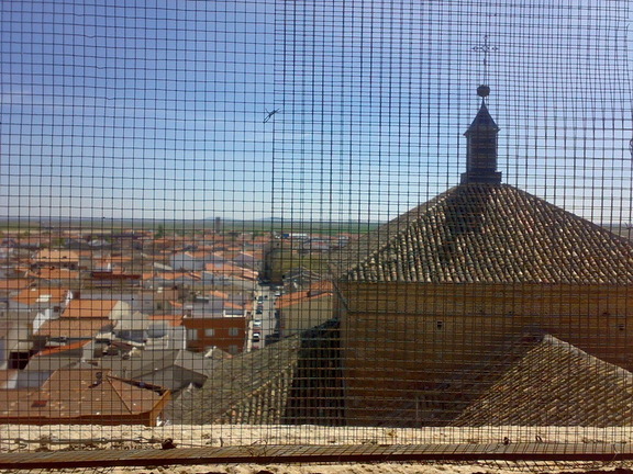 Desde la torre I. 9 de abril de 2009