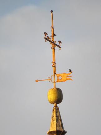 La veleta de la torre