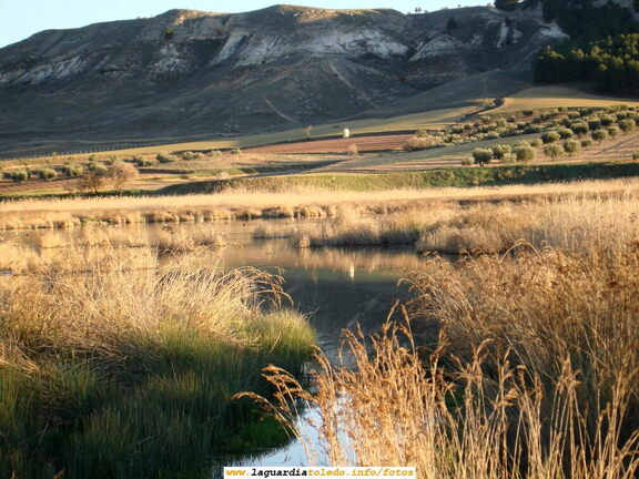 11 de Marzo de 2007. La Laguna con agua y patos.