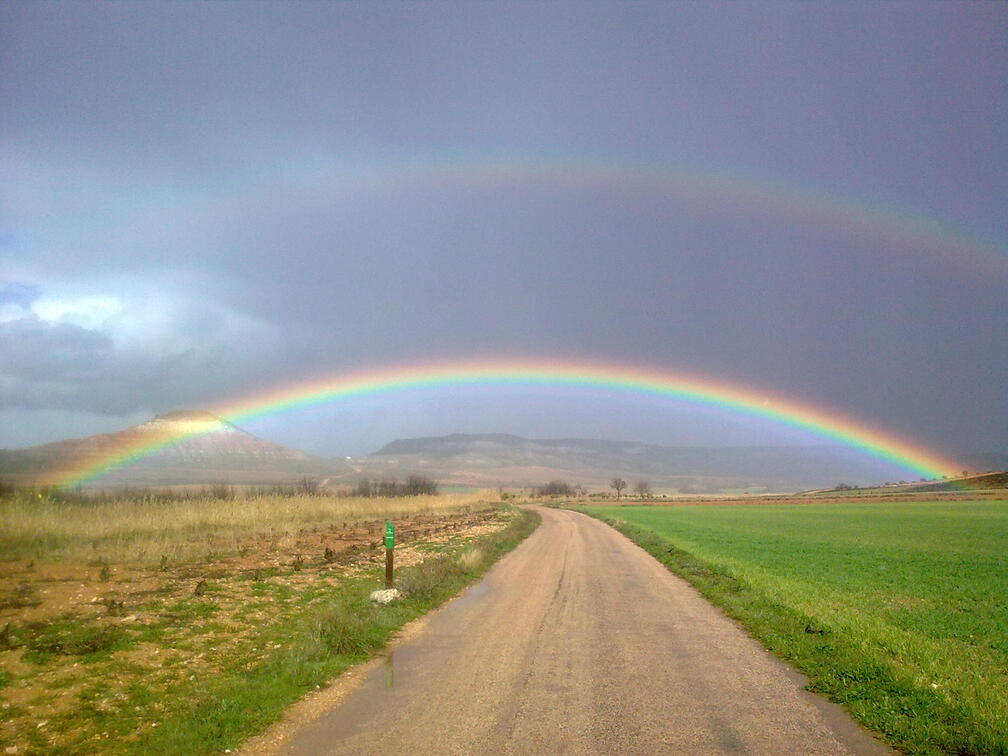 Camino de La Laguna