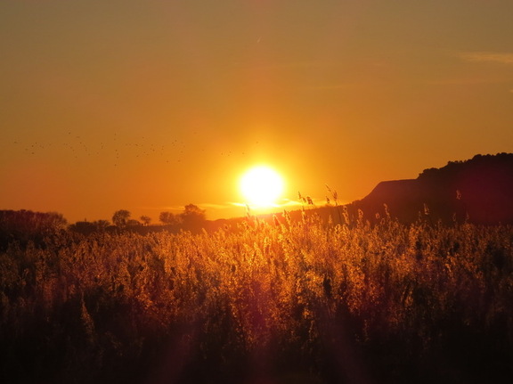 Puesta de sol