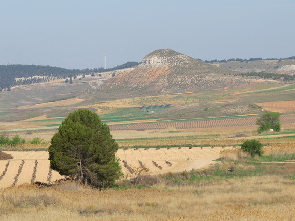 El cerro de las Maricas a medio camino entre Escorchón y La Laguna