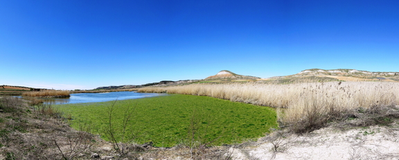 Foto panorámica de la laguna nueva llena de algas el Domingo de Resurección de 2015