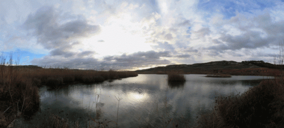 Fotos panorámicas de la laguna del avistadero de aves