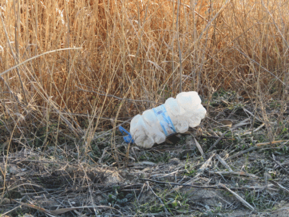 Basura en las lagunas de La Guardia