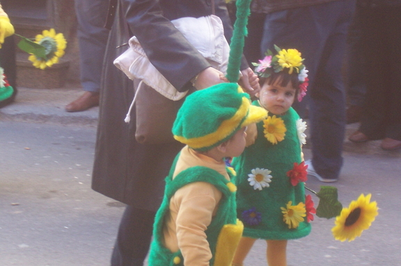 10 de Febrero de 2008. Desfile de Carnaval. Comparsa comarcal