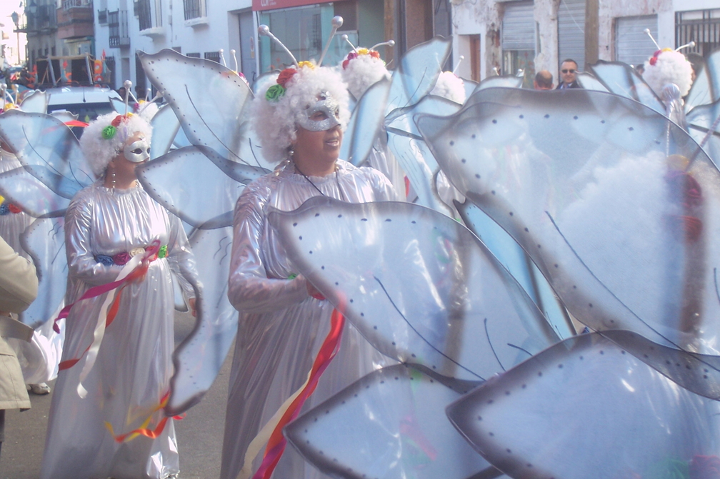10 de Febrero de 2008. Desfile de Carnaval. Comparsa comarcal