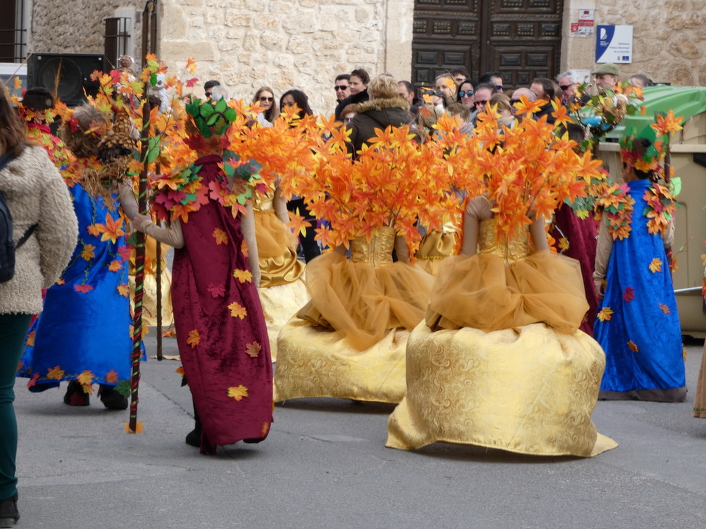 Desfile de carnaval 1-3-2020