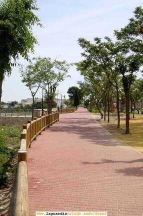 Calle del Paseo del Norte 2006. (Imágenes de ayer y de hoy)