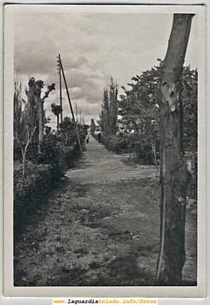 Calle del Paseo del Norte años 70. (Imágenes de ayer y de hoy)