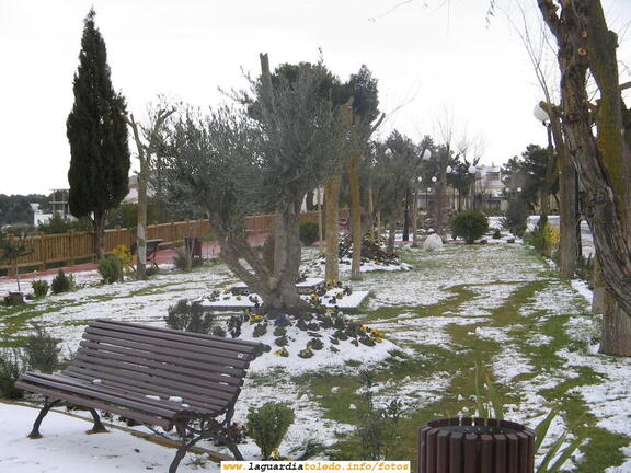 26 de Enero de 2007. El Paseo del Norte después de la nevada