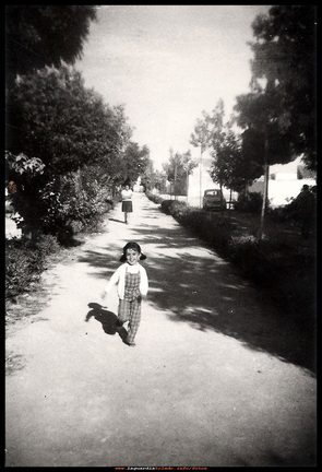 Paseo del Norte, año 1969
