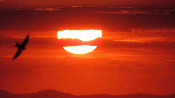 Las golondrinas y la puesta de sol desde el Paseo del Norte
