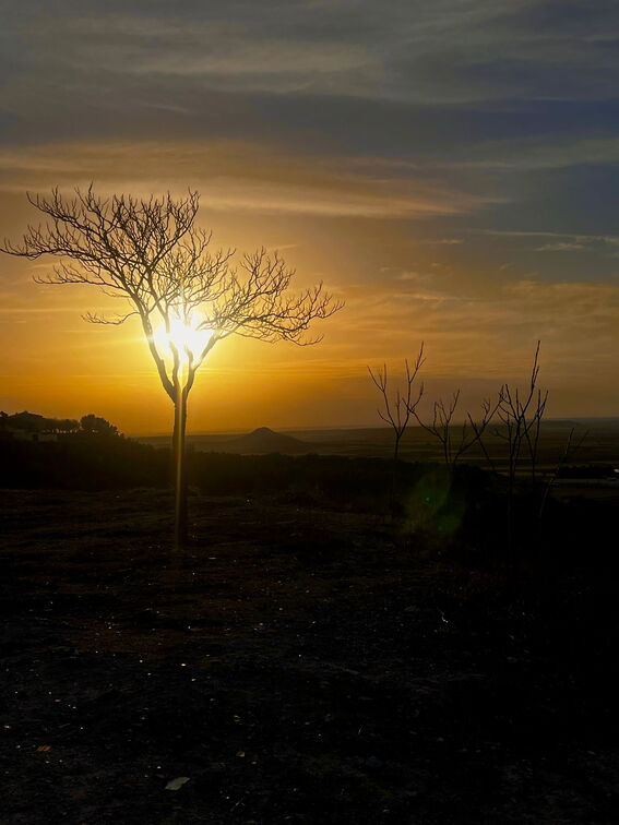 Atardecer desde el cementerio